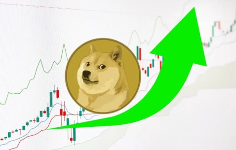 爱游戏平台-狗狗币创下今年新高，上涨幅高达108%，还还值得跟进吗？，引爆行情