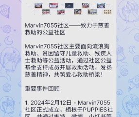 爱游戏在线-专家称SOL将在年底冲破狗狗币美元，引发引发关注