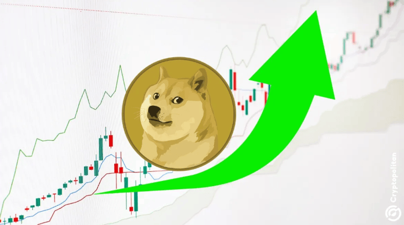 狗狗币创下今年新高，上涨幅高达108%，还还值得跟进吗？，引爆行情