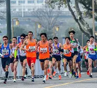 马拉松常规赛焦点战：粤西迅豹队强势横扫西城巨龙队，新星闪耀。客场静默反击的简单介绍